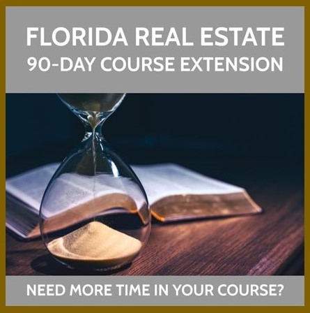 Real Estate 90 Day Extension